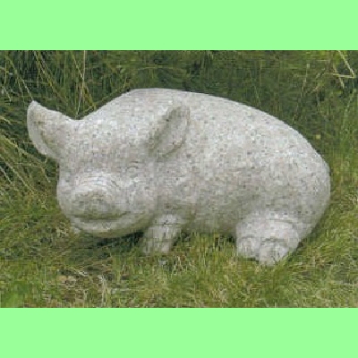 Schwein